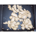 Neue Crop Dry Ginger (100-150g)